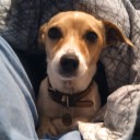 สมาชิกหมายเลข 872193