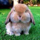 สมาชิกหมายเลข 2506101