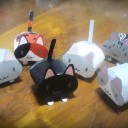 กระต่ายกับแมวทั้งหก