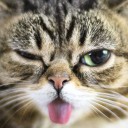 น้องครับ