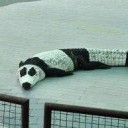 สมาชิกหมายเลข 872950