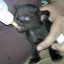 สมาชิกหมายเลข 873007