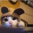 สมาชิกหมายเลข 1829447