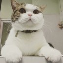 สมาชิกหมายเลข 2911489