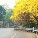 สมาชิกหมายเลข 1873783