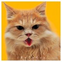 เด็กวัดช้าง