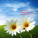 สมาชิกหมายเลข 873434