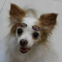 สมาชิกหมายเลข 1699642