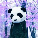 สมาชิกหมายเลข 2910209