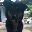 สมาชิกหมายเลข 2404257