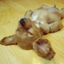 สมาชิกหมายเลข 865825