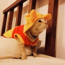 supermeaw