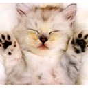 สมาชิกหมายเลข 915378