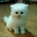 Once Devil, Always Devil !!