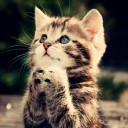 สมาชิกหมายเลข 1700154