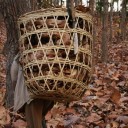 ใบตองตรึง