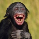 สมาชิกหมายเลข 3353218