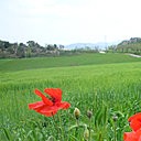 ทางอิสระ