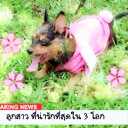 สมาชิกหมายเลข 3343672