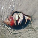 ผู้หญิงไม่รักดีที่รักเธอ