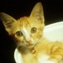 สมาชิกหมายเลข 1436376