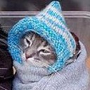 สมาชิกหมายเลข 1569545