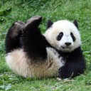 สมาชิกหมายเลข 2121239