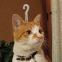 สมาชิกหมายเลข 2513265