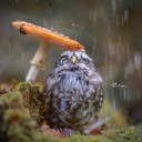 สมาชิกหมายเลข 1210402