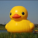 สมาชิกหมายเลข 1369811