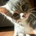 สมาชิกหมายเลข 3319335