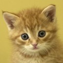 สมาชิกหมายเลข 875086