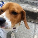 สมาชิกหมายเลข 1273506