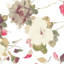 สมาชิกหมายเลข 1273655