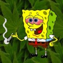 สมาชิกหมายเลข 2913585