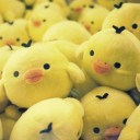 ลูกเจี๊ยบเหงือกบาน