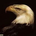 สมาชิกหมายเลข 867062