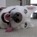 สมาชิกหมายเลข 875399