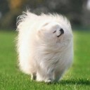 สมาชิกหมายเลข 875456