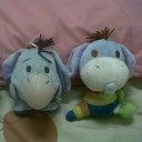 สมาชิกหมายเลข 875508