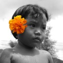 สมาชิกหมายเลข 1273810