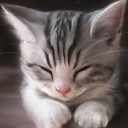 สมาชิกหมายเลข 866827