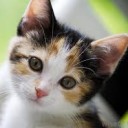 สมาชิกหมายเลข 1702294