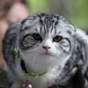 สมาชิกหมายเลข 1797266