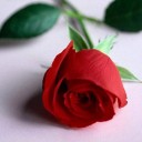 สมาชิกหมายเลข 2122292