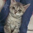 สมาชิกหมายเลข 2514309