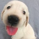 สมาชิกหมายเลข 2514543