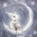 The little rabbit on the moon