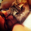 สมาชิกหมายเลข 1335821