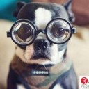 สมาชิกหมายเลข 2914987